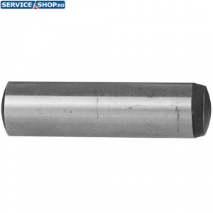 Stift cilindric (GSH 11 E / GSH 10 C) Bosch 1613101006