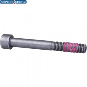 Surub cu cap imbus (GSH 16-28 / GSH 16-30) Bosch 1613414022